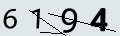 verifycode